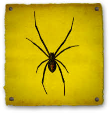 How To Kill Black Widow Spiders Black Flag