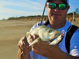 Aug 14, 2015 · mangrove shore lines and other heavy cover areas the most effective method of catching snook in heavy cover areas is to pitch a live bait or lure into areas known to hold fish. Treasure Coast From The Shore Fishing Report And Forecast March 2017 Coastal Angler The Angler Magazine