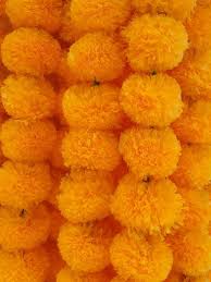 Check spelling or type a new query. Amazon Com Decoration Craft Pack Of 5 Artificial Light Orange Marigold Flower Garlands 5 Feet Long For Parties Indian Weddings Indian Theme Decorations Home Decoration Photo Prop Diwali Indian Festival Home Kitchen