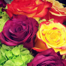 8+ active winston flowers coupons, promo codes & deals for july 2021. Winston Flowers Home Facebook