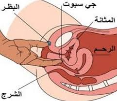 الثقافة الجنسية بالصور النشوة الجنسية هزة الجماع مسبباتها ومظاهرها منتدي بيت العز