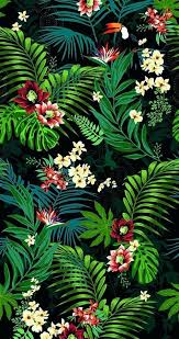 Https All Images Net Wallpaper Iphone Tropical 378 Wallpaper Iphone Tropical 378 Tropical Wallpaper Flower Wallpaper Jungle Pattern