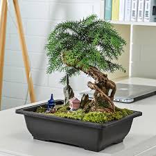 Persegi Panjang Simulasi Ungu Pasir Plastik Besar Succulent Tanaman Antik Bonsai Pot Bunga Balkon Taman Rumah Perlengkapan Hadiah Panas Bunga Pot Planters Aliexpress