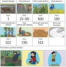 Kunci jawaban yang tersedia dapat digunakan orang tua untuk mendampingi proses belajar anak di rumah. Kunci Jawaban Tema 3 Kelas 4 Subtema 1 Hewan Dan Tumbuhan Di Lingkungan Rumahku Pembelajaran 2 Di Buku Tematik Halaman 7 8 9 10 11 12 13 14 15 16