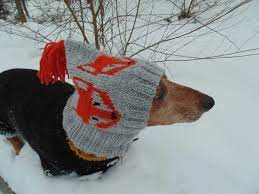 Pin On Dogs