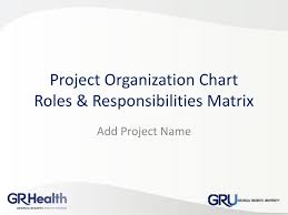 Ppt Project Organization Chart Roles Responsibilities