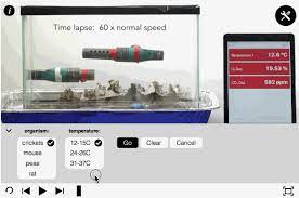Pivot interactives develops interactive resources for science learning, including both direct measurement videos and pivot player. Biology Content On Pivot Interactives Pivot Interactives