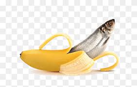 Sprinkle with 1 tablespoon white wine and toss again. Leaf Fish Png Images Pngwing