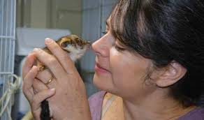 Wild about our animals