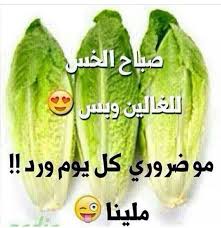 صباح الخس للغالين بس Good Morning Beautiful Images Pretty Words Morning Pictures