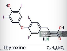 Image result for Thyroxine