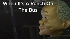 nasty little insects #hoodhumor