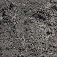 Black Soil product image