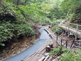 登別・大湯沼川天然足湯の行き方を紹介！森の中の足湯で入浴&森林浴 - たびハピ