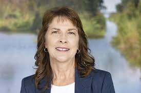 Jean Lafitte mayor's race this weekend: here's what to know