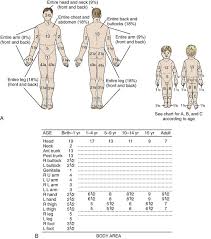 burn care procedures clinical gate