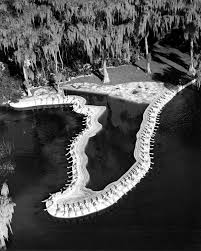 Esther Williams 1921 2013 Cypress Gardens Winter Haven Florida Cypress Gardens Florida
