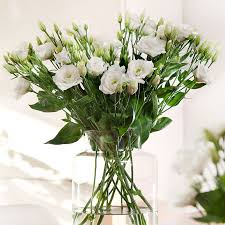 Image result for eustoma lisianthus in vase