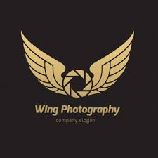 We did not find results for: Wings Images Free Vectors Stock Photos Psd