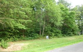 Lake anna land for sale. Lake Anna Homes For Sale Lots For Sale Dockside Realty Lake Anna Va