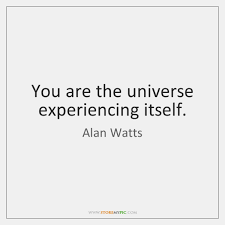 You are the universe experiencing itself quote. You Are The Universe Experiencing Itself Storemypic