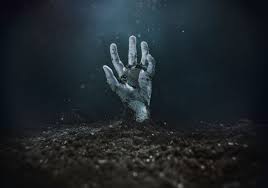 You are using an older browser version. The Best Zombie Movies What Is The Best Zombie Movie