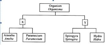 Soalan sains tingkatan 3 bab 1 spm formula matematik tingkatan 5 soalan kata. Kuiz Sains 1 Proprofs Quiz