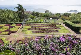 Der botanische garten ist einen besuch wert. Foto Design Dieter Schinner Botanischer Garten Funchal