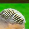 José mourinho said érik lamela 'cannot play' against brentford, the week after the winger was pictured at party in breach of coronavirus regulations. Https Encrypted Tbn0 Gstatic Com Images Q Tbn And9gctfqj357weyudlz2gmsaicv5zxlcxc122u0xguqfi Eq6s6w Jq Usqp Cau