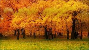 When Photography Is Imagination And When Fantasy Desktop Background Nature Autumn Nature Nature Wallpaper