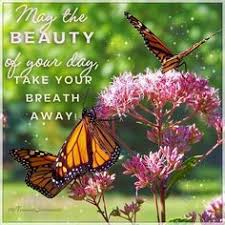 We did not find results for: 36 Butterfly Quotes Ideas Butterfly Quotes Butterfly Quotes