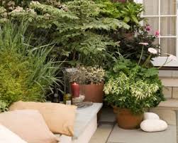 Como crear un bonitos patio patios de casas modernas nuevas ideas / mínimo 8 y máximo 10 invitados por. Ideas Para Disenar Un Patio Pequeno Cordial Inmobiliaria Casas En Guadalajara Venta De Casas Renta De Cas Inmobiliaria Casas Decorar Patio Pequeno Patio