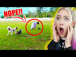 YOU WON'T BELIEVE WHAT!