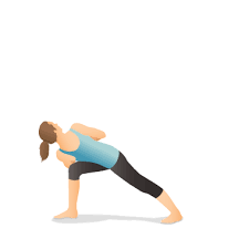 Warrior Twist Yoga Poses Poses Yoga