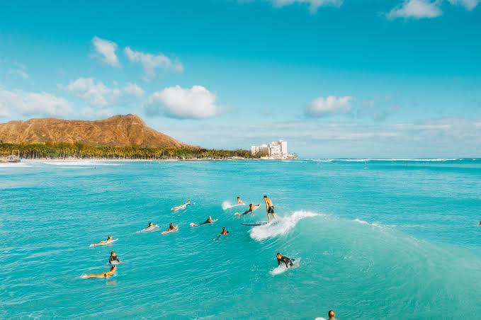 Surfers near Sea Shore · Free Stock Photo