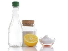Vinegar can be good for you in a number of ways. Natural Pest Control Tips For Ants Roaches Bed Bugs And More Hgtv S Decorating Design Blog Hgtv