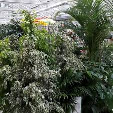 Fiedlers Garten Hobbyland Gmbh Startseite Facebook