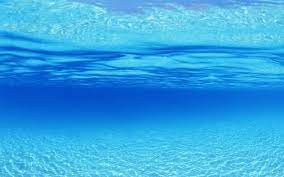 Download Underwater Backgrounds Free Underwater Wallpaper Underwater Background Ocean Wallpaper