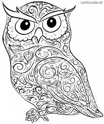 Sie finden bei uns viele kostenlose ausmalbilder mit kindgerecht gestalteten motiven für jungen und mädchen. Auf Folgende Seite Finden Sie Wunderschone Eulen Ausmalbilder Die Konnen Sie Ganz Einfach Speichern Und Ausdrucken S Ausmalbilder Eulen Ausmalbilder Ausmalen