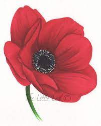 The Little Leaf Tangled Flower Anemone Flower Red Anemone
