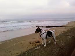 ian huxtable (@iansuperhux)