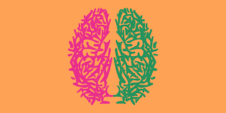 Simply select a language and press on the speaker button to listen to the pronunciation of the word. Being Bilingual Changes The Architecture Of Your Brain Wired