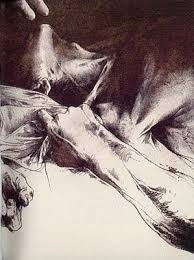 El Vuelo De La Mariposa Nocturna Luis Caballero Luis Caballero Cazador De Monstruos Caballeros