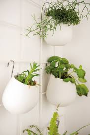 Como ves, decorar con plantas colgantes en casa puede ofrecerte muchas y muy diversas posibilidades decorativas con las que dar aire y vida nueva a tu particular decoración. Plantas Colgantes Ideas Para Decorar Dentro Y Fuera De Casa Con Shopping
