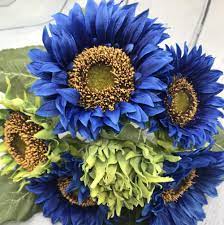 Amazon.com : CHUXAY GARDEN Rare Bright Blue Sunflower Seed 50 Seeds Non-GMO  Heirloom Helianthus Annuus Excellent in Tubs and Planters : Patio, Lawn &  Garden