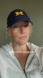 Golden Retriever Human Dog Not Dogs Dog