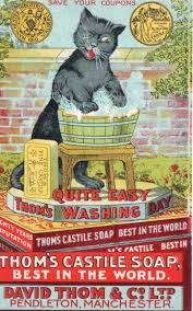 Bunny Realness Cat Art Vintage Cat Black Cat