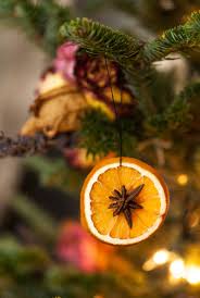 Leave until nearly dry, and then wipe off. How To Make Dried Citrus Christmas Ornaments