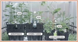 This diy aeroponics tutorial will show you how to build a high pressure aeroponic system. Aeroponics Gb The Green Brand