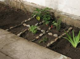 Errores comunes en el cuidado de nuestras plantas. Como Cultivar Un Huerto En Casa Sin Riesgos Consumer